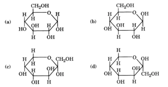 Chemistry Chapter 10 - Biomolecules : Model Questions